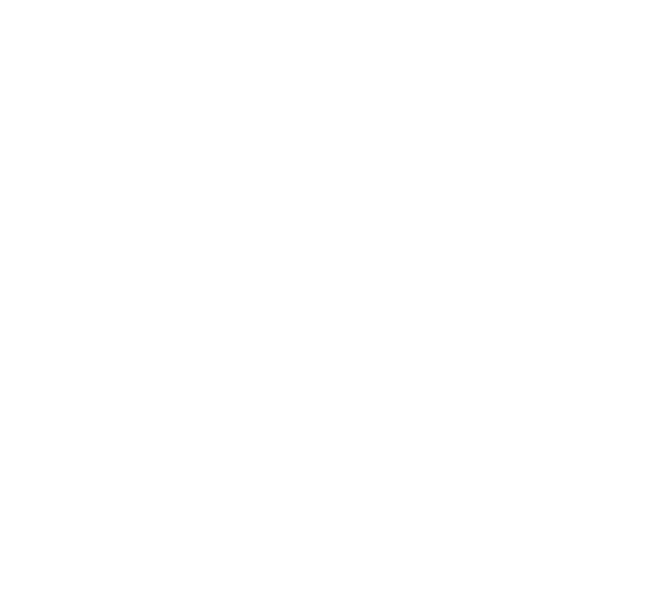 Trip Advisor